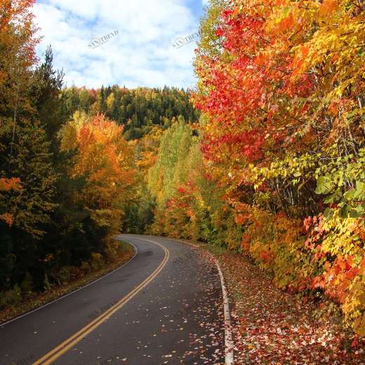 WP00138 Фотообои Verol Фотообои decoline 1х1 м