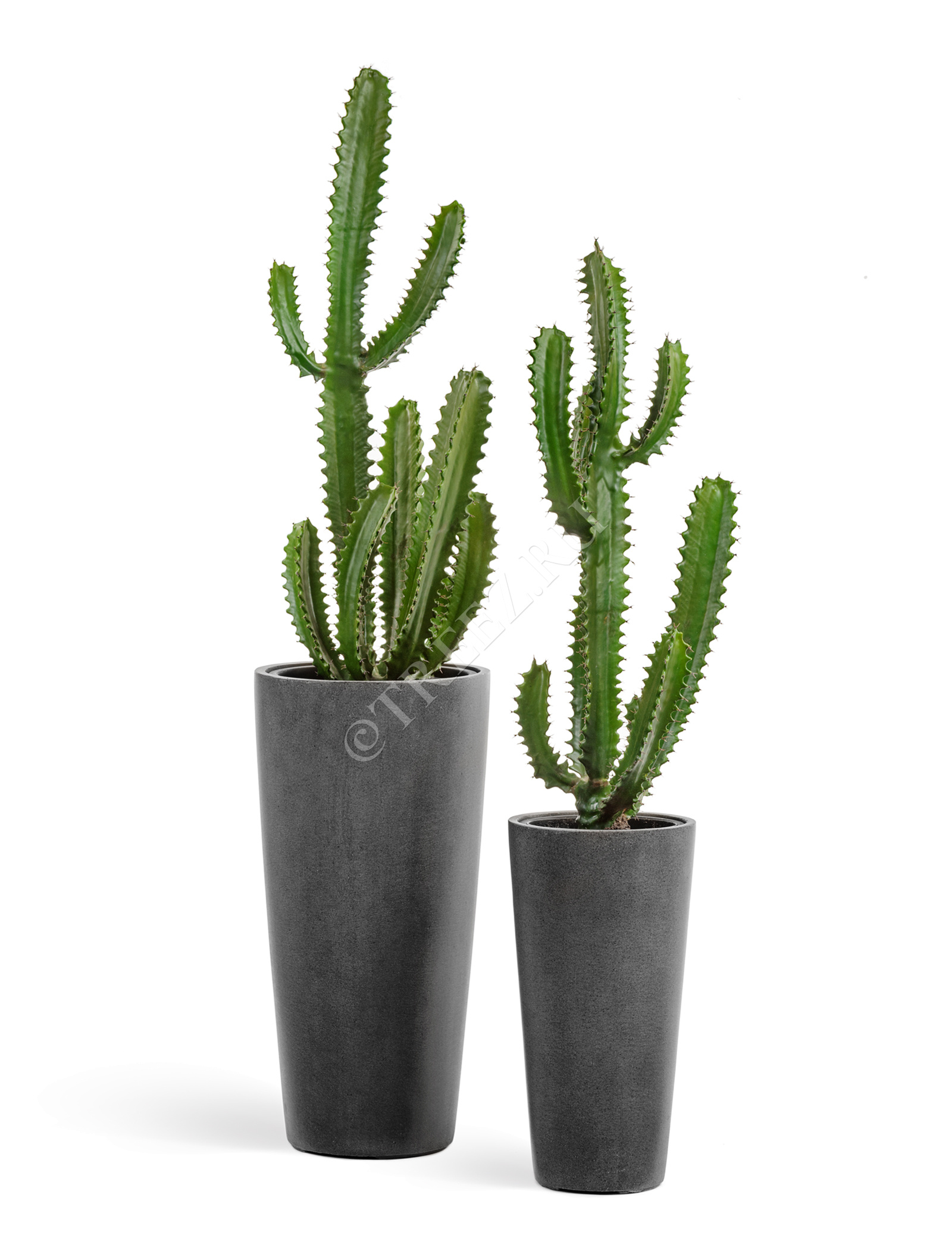 41.3319-02-020-GR-45 Кашпо  Effectory - серия Beton - Высокий конус - Тёмно-серый бетон Цветочная коллекция  - Вид №6