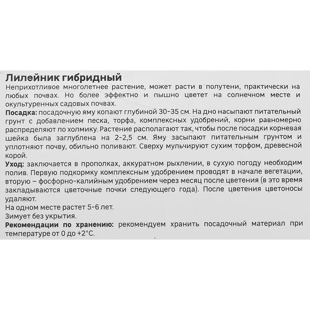 Лилейник Geolia гибридный Дабл Ривэ Вай 86408692 STLM-2036346  - Вид №3