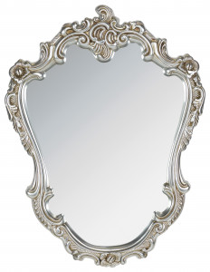 3895154.0027 Зеркало настенное TO4ROOMS