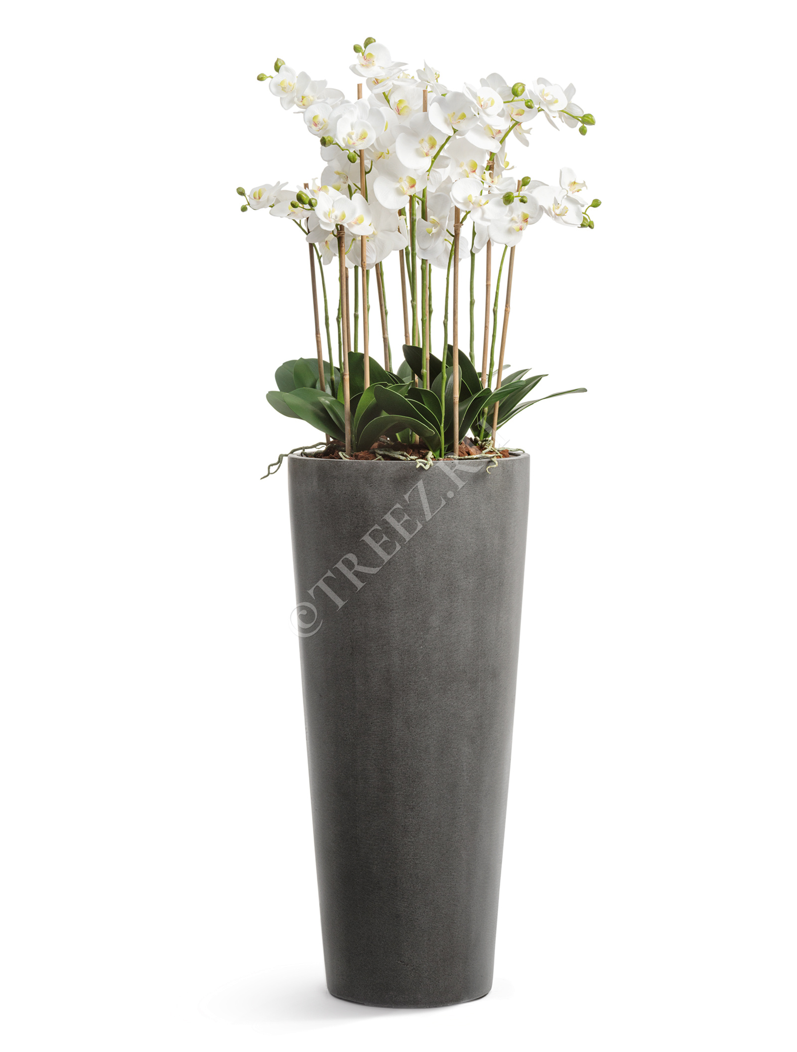 41.3319-02-020-GR-45 Кашпо  Effectory - серия Beton - Высокий конус - Тёмно-серый бетон Цветочная коллекция  - Вид №11