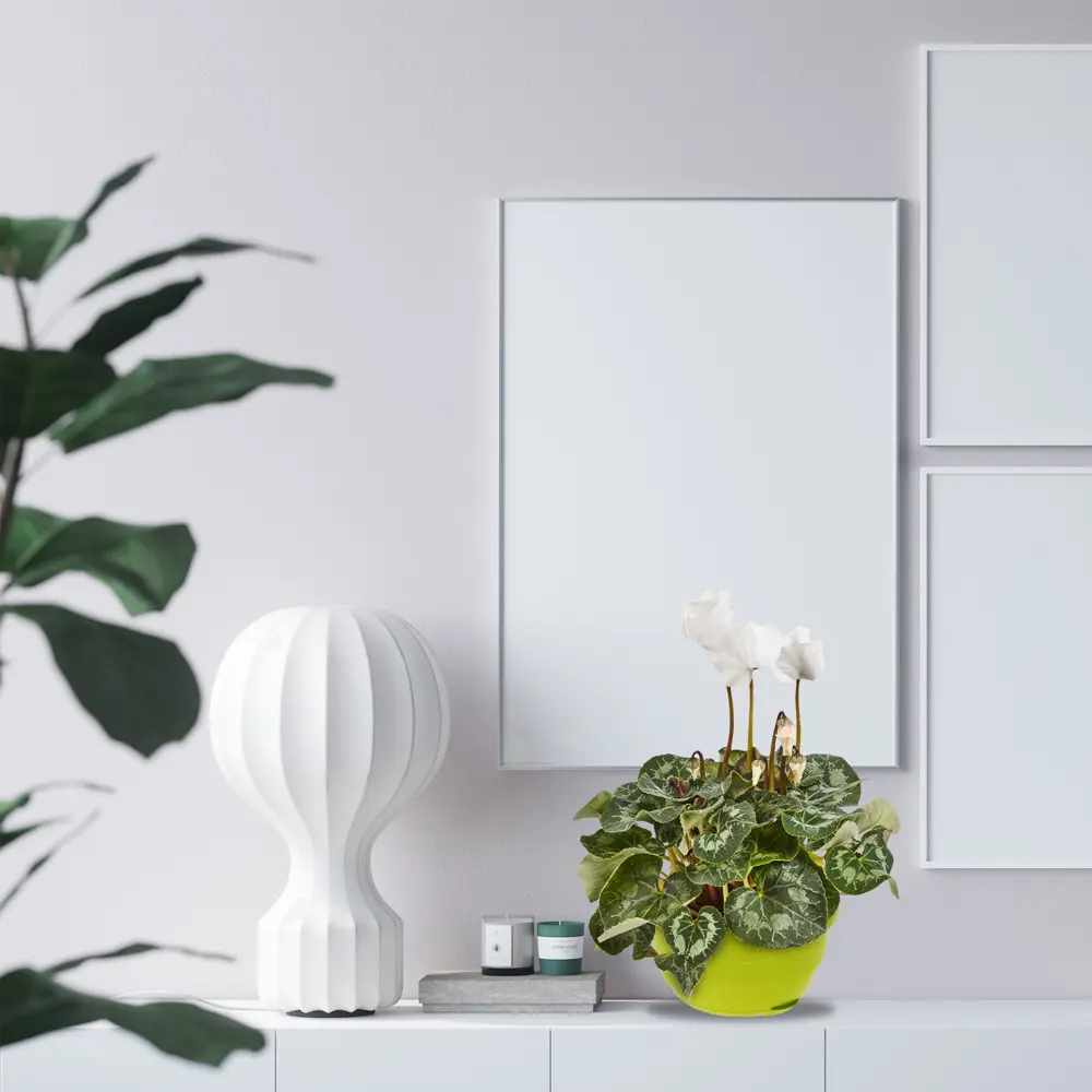 Santreyd «Мальва» — подвесной кашпо фисташковый 4.7 л для интерьера и сада 18009273 STLM-0009227 - Вид №2