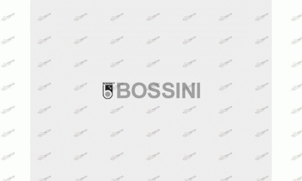 E59000 Аксессуары  BOSSINI 