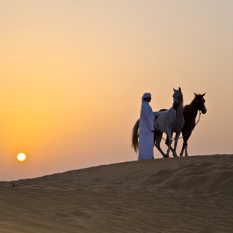 1561/CX38 Картина 1561 Adriani e Rossi 