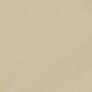 Моноколор CF 100 аворио матовая 600x600