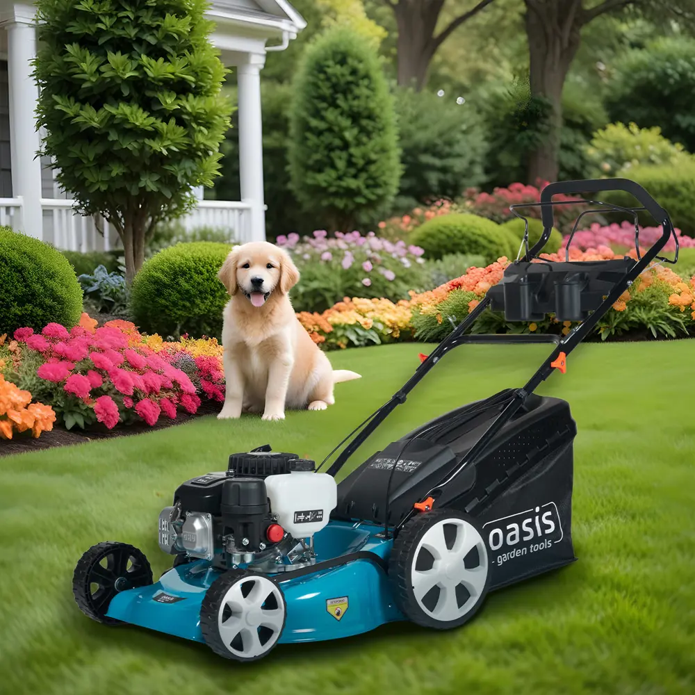 Газонокосилка бензиновая самоходная Oasis Garden Tools GB-27 5 л.с. 46 см 89361535 STLM-2153989  - Вид №22