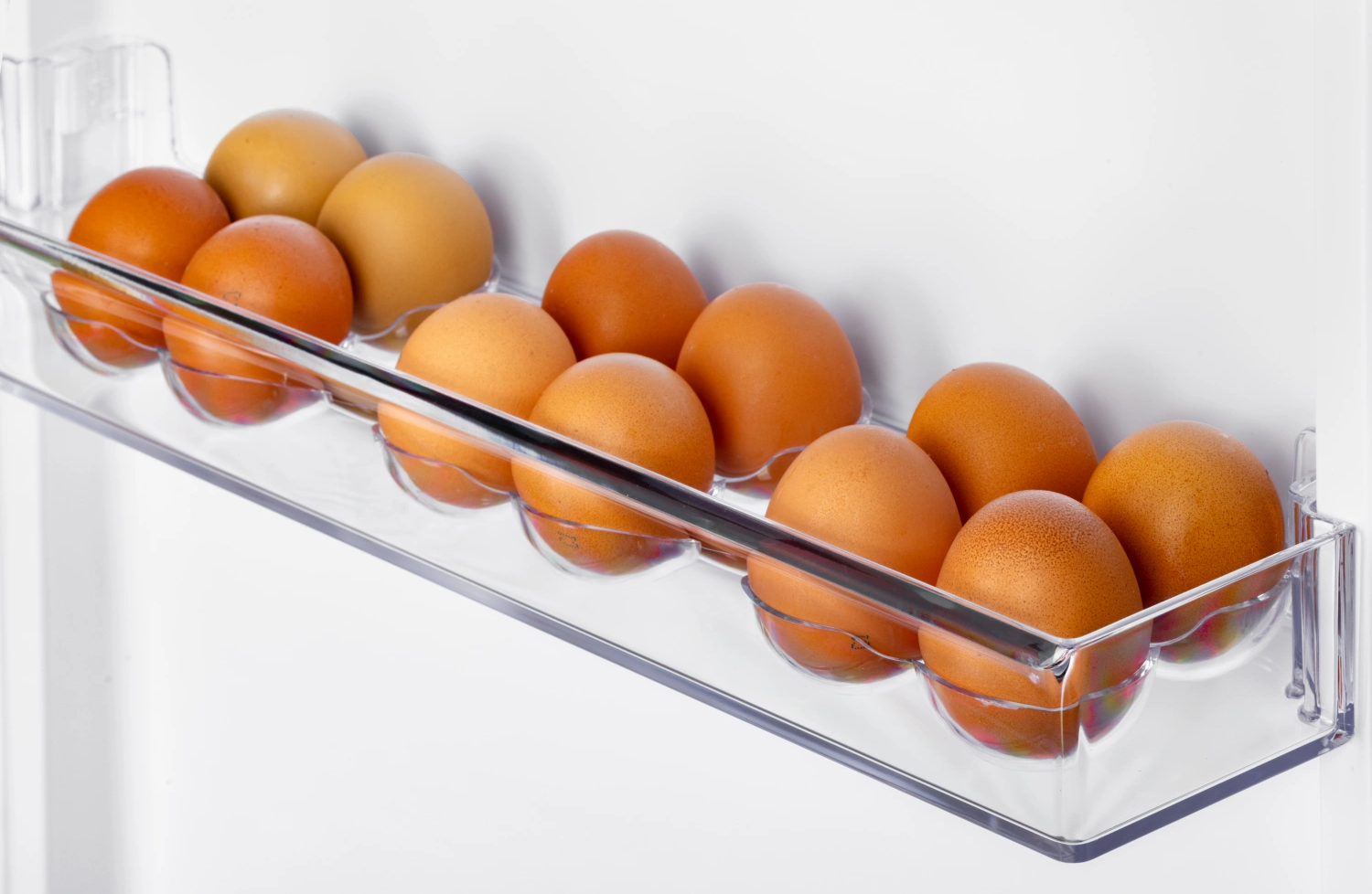 9291853 Холодильник с морозильником   NORD NRB 134 W белый STDN-0030559 - Вид №4