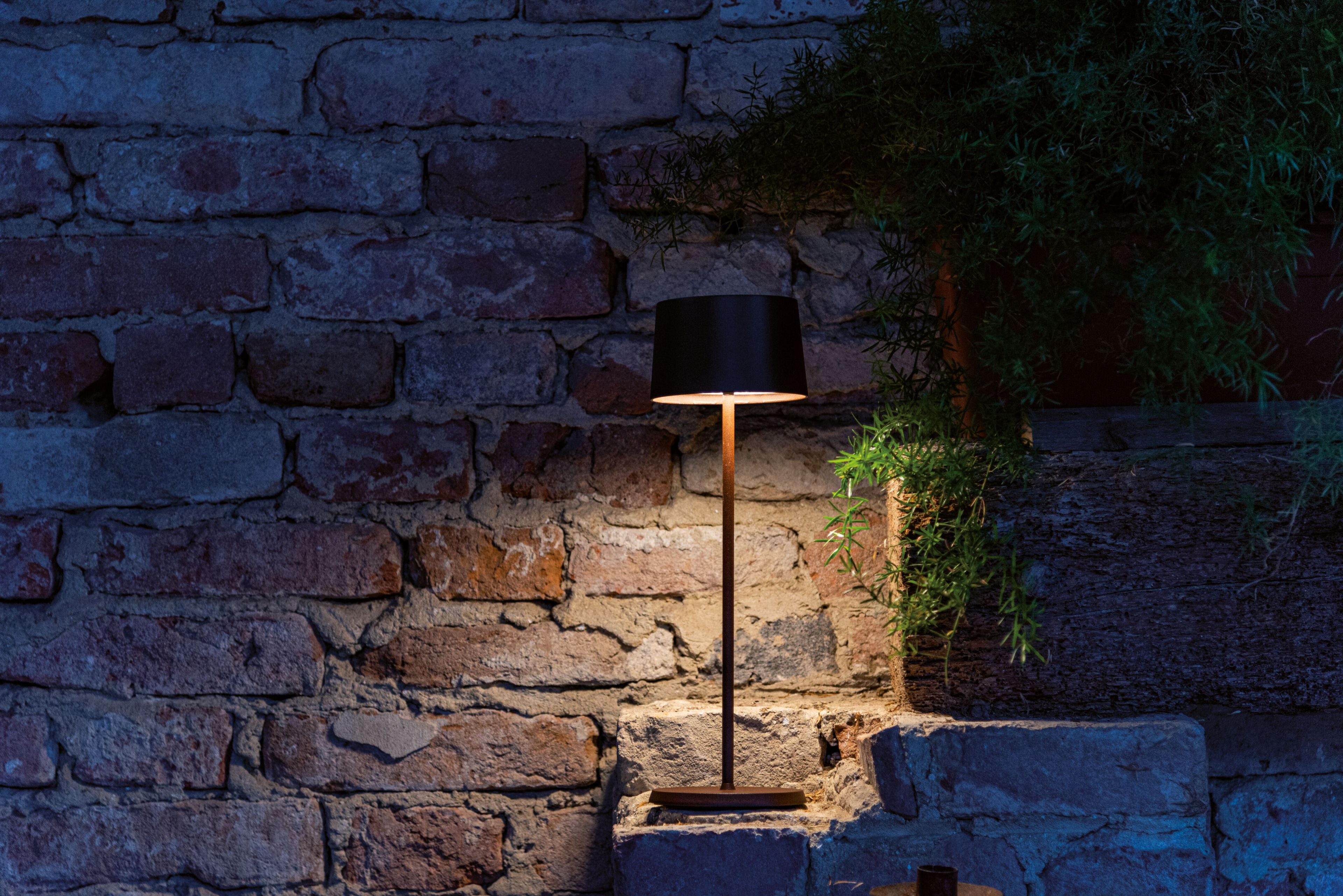 Аккумуляторная настольная лампа Zafferano Olivia ARCH-00116692 - Вид №17