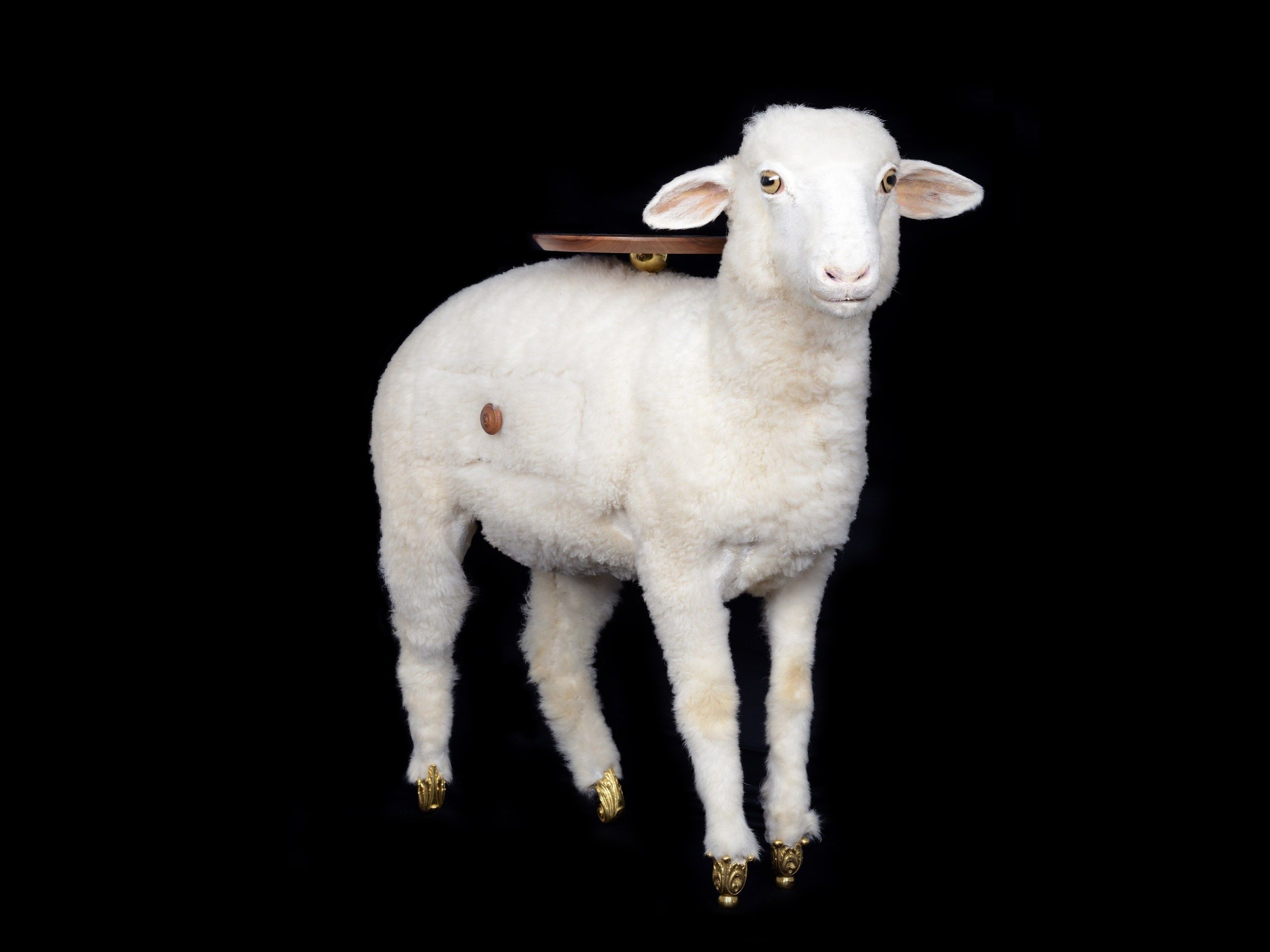 Журнальный столик BD Barcelona дали ARCH-00072581 - Вид №4