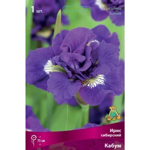83597278 Ирис сибирский Кабум луковица I STLM-1514186