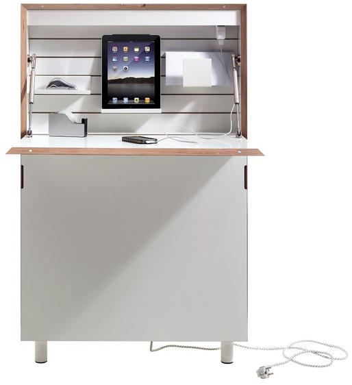 Müller Small Living Письменный стол из березы с откидными дверцами  Fl110  - Вид №2