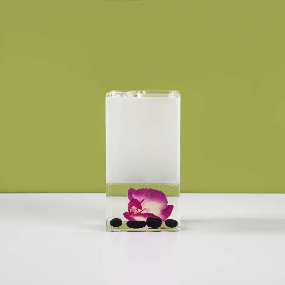 Стакан для зубных щёток настольный Verran «Phalaenopsis» с разделителем акрил цвет розовый STLM-2194153 - Вид №1