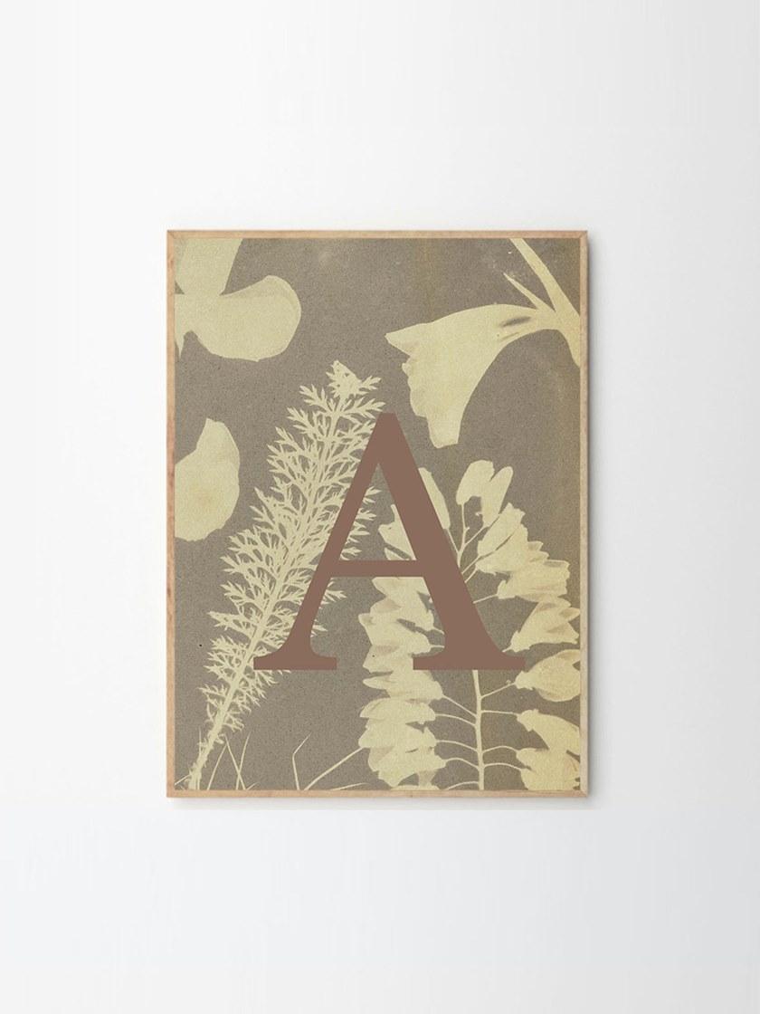 Печать на бумаге Flora Santreyd sun-id-1376096 - Вид №1