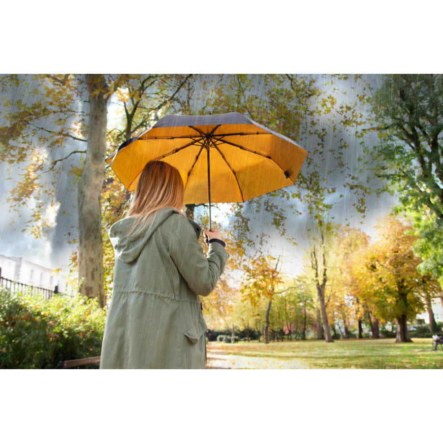 SK UMBRELLA3 Зонт black and gold Suck UK  - Вид №2