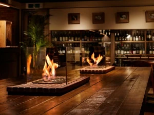 EcoSmart Fire Горелка на биоэтаноле для камина Ethanol burners