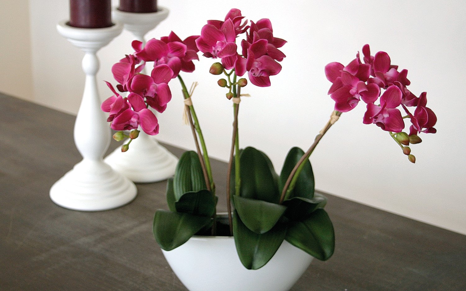 2609 420 a3 Пластиковая орхидея Phalaenopsis, 3-х кратная, в миске, 38 см, real touch, вишня H-andreas  - Вид №7