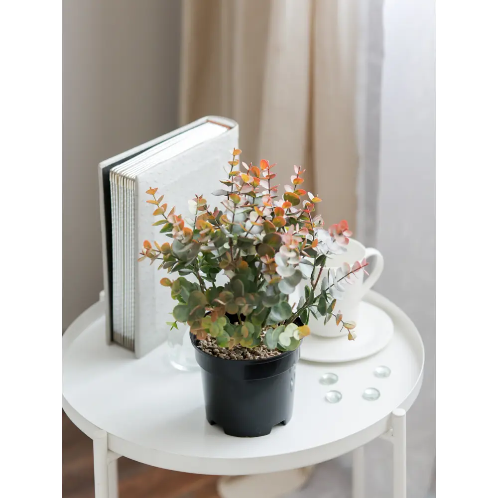 89356250 Искусственное растение в горшке эвкалипт h30 см цвет коричневый STLM-0961796 Santreyd  - Вид №4