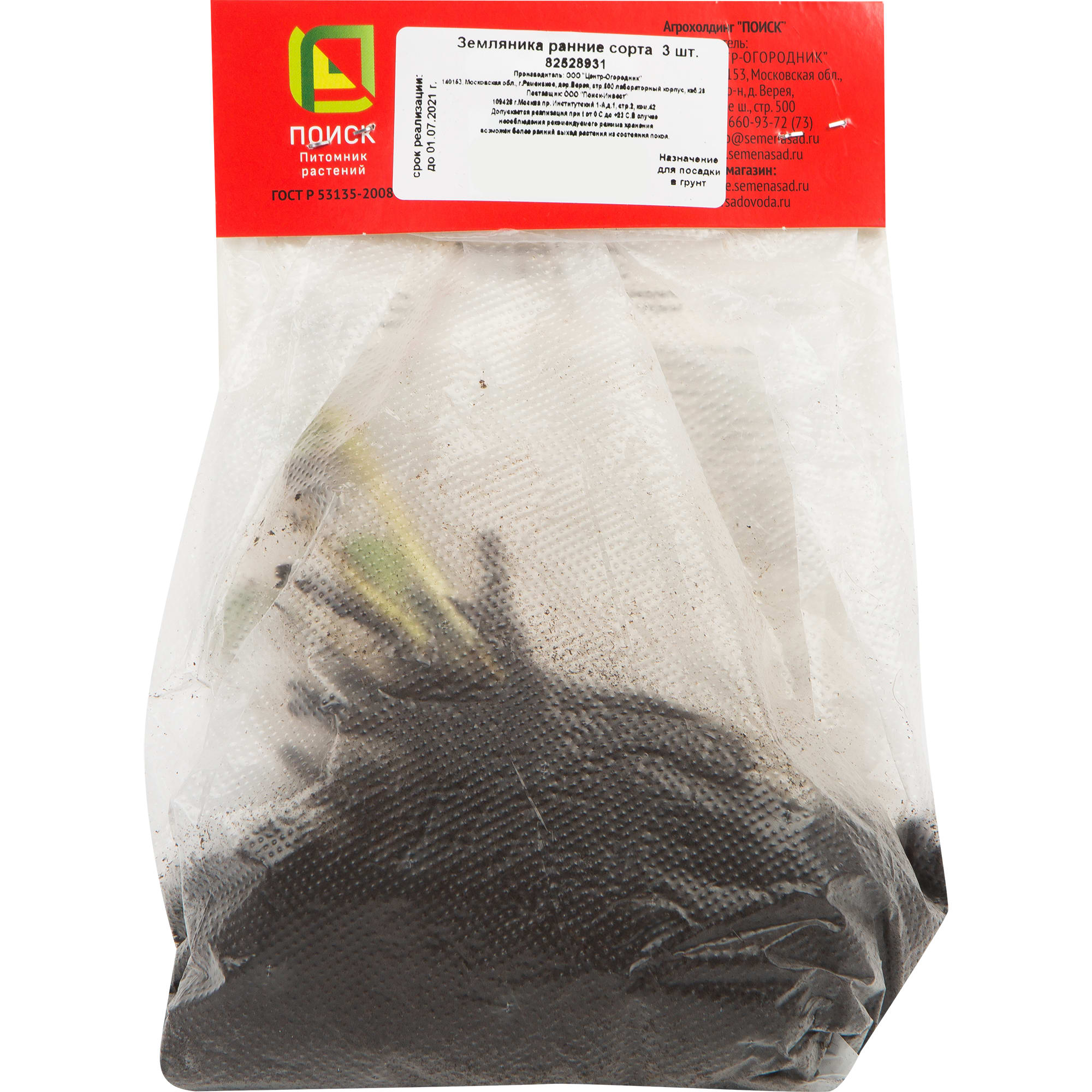 82528931 Земляника традиционная ранняя 3 шт Santreyd  - Вид №2