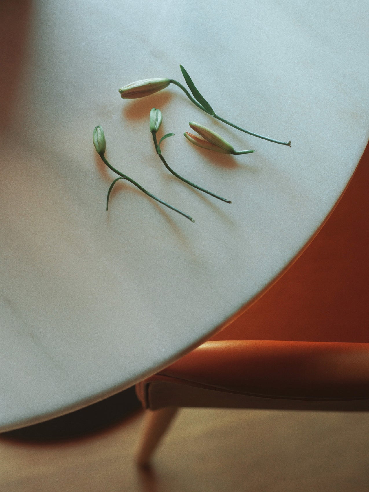 5709262042319 Стол колонны гавани, Круглый стол LuceLight  - Вид №23