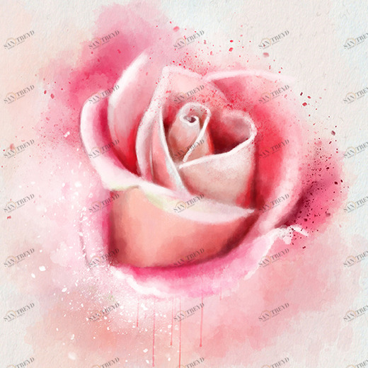 D2-081 Фотообои DIVINO Collection D 2.7х2 м D2081