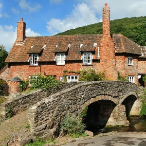 C1-373 Фотообои DIVINO Collection C 2.38х3 м