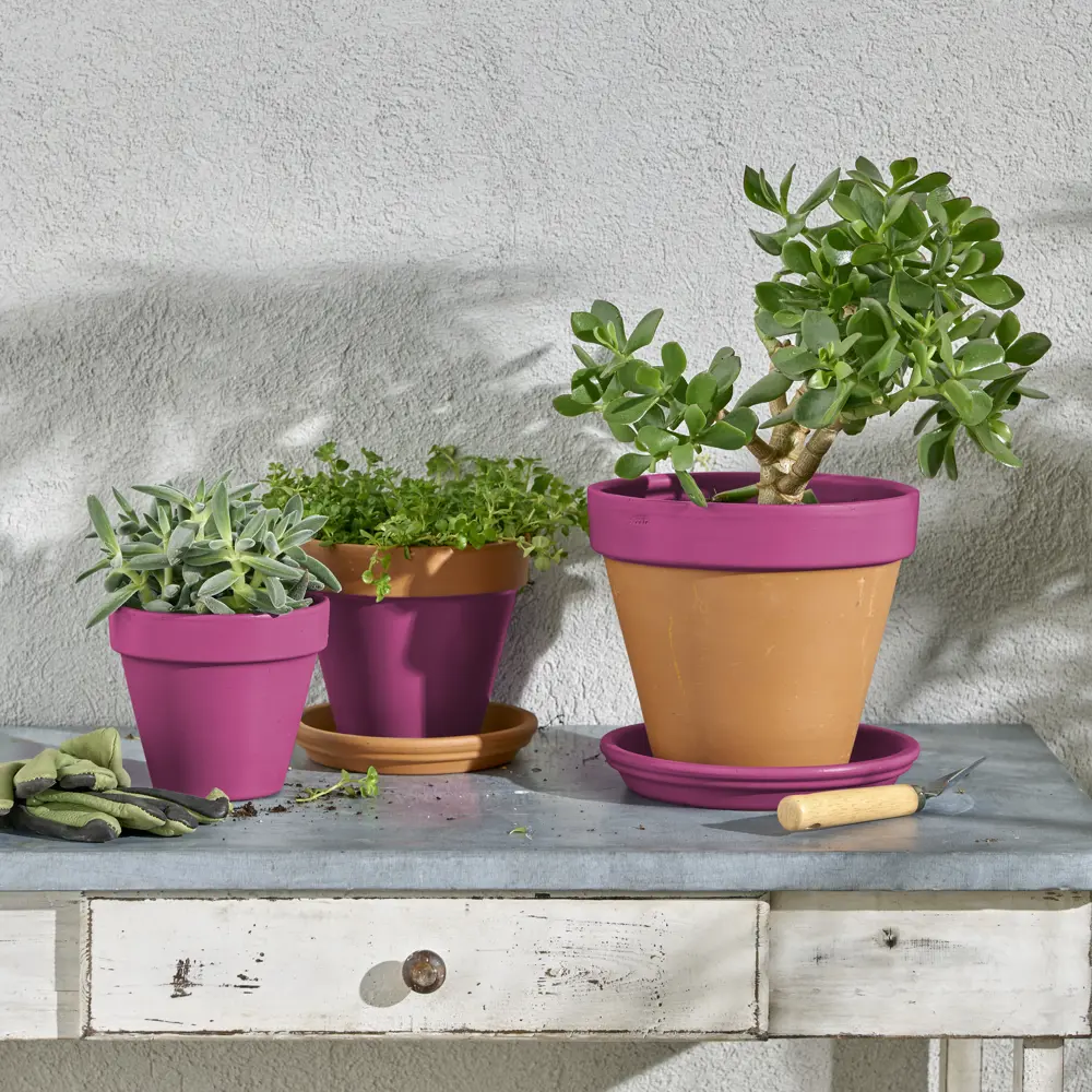 Аэрозольная эмаль Luxens матовый конфетный - стойкое покрытие для интерьера и экстерьера 83237393 STLM-0039750 - Вид №5