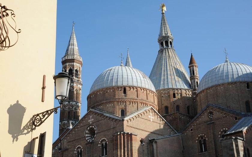 Neri Настенный фонарь уличный фонарь Sheliak sun-id-1387518 - Вид №3