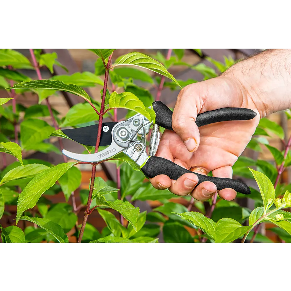 Секатор садовый Verto универсальный ø15 мм STLM-2171219 - Вид №7