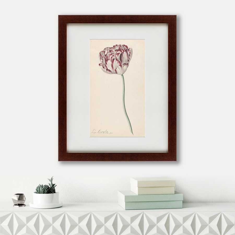 Литография на тонированной бумаге 42х52 см Tulp №2, 1815 КАРТИНЫ В КВАРТИРУ  135616 Бежевый;белый;розовый;разноцветный  - Вид №2