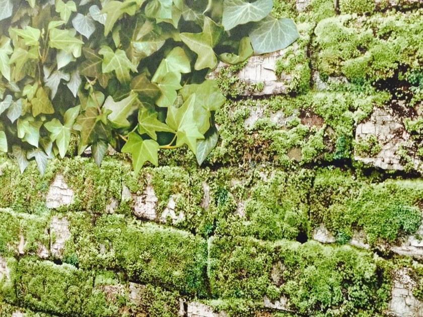 Koziel Обои на стену  8888-401  - Вид №7