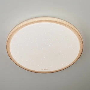 Потолочный светодиодный светильник Eurosvet Sandy 40014/1 LED кофе EUROSVET SANDY 202707 Белый