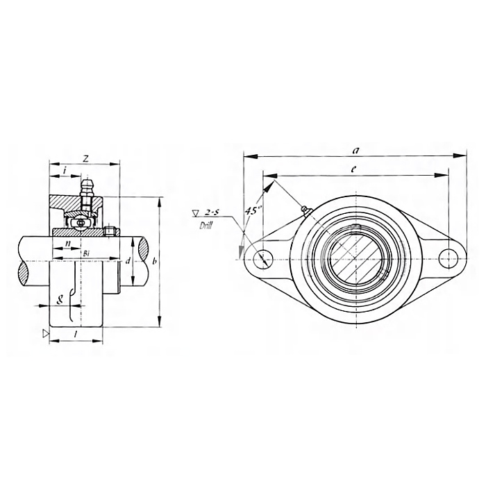 IS2005 Подшипниковый узел UCFL206 ISKRA  - Вид №1