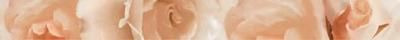 Mold Rosario Бордюр 5х50 Ceradim sun-id-316478