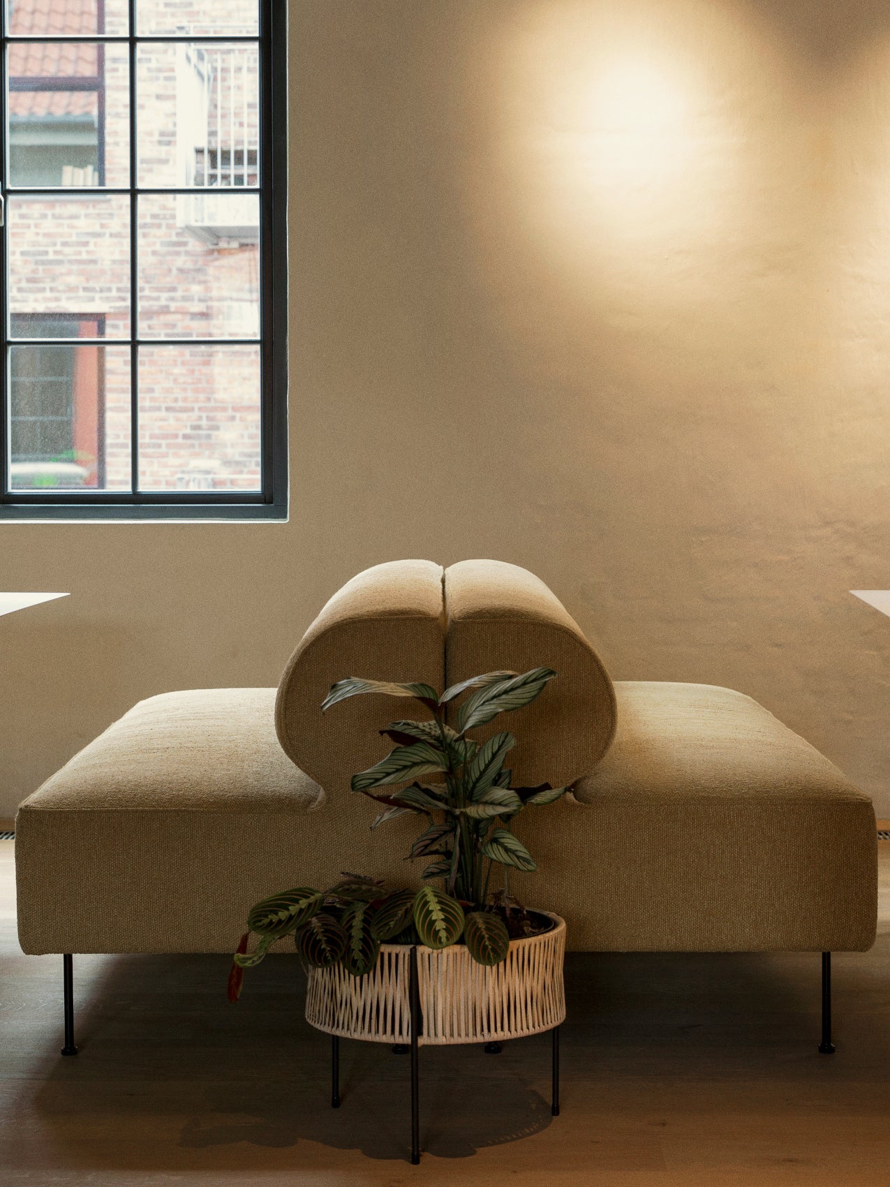 5709262047000 Обеденный диван Eave LuceLight  - Вид №2