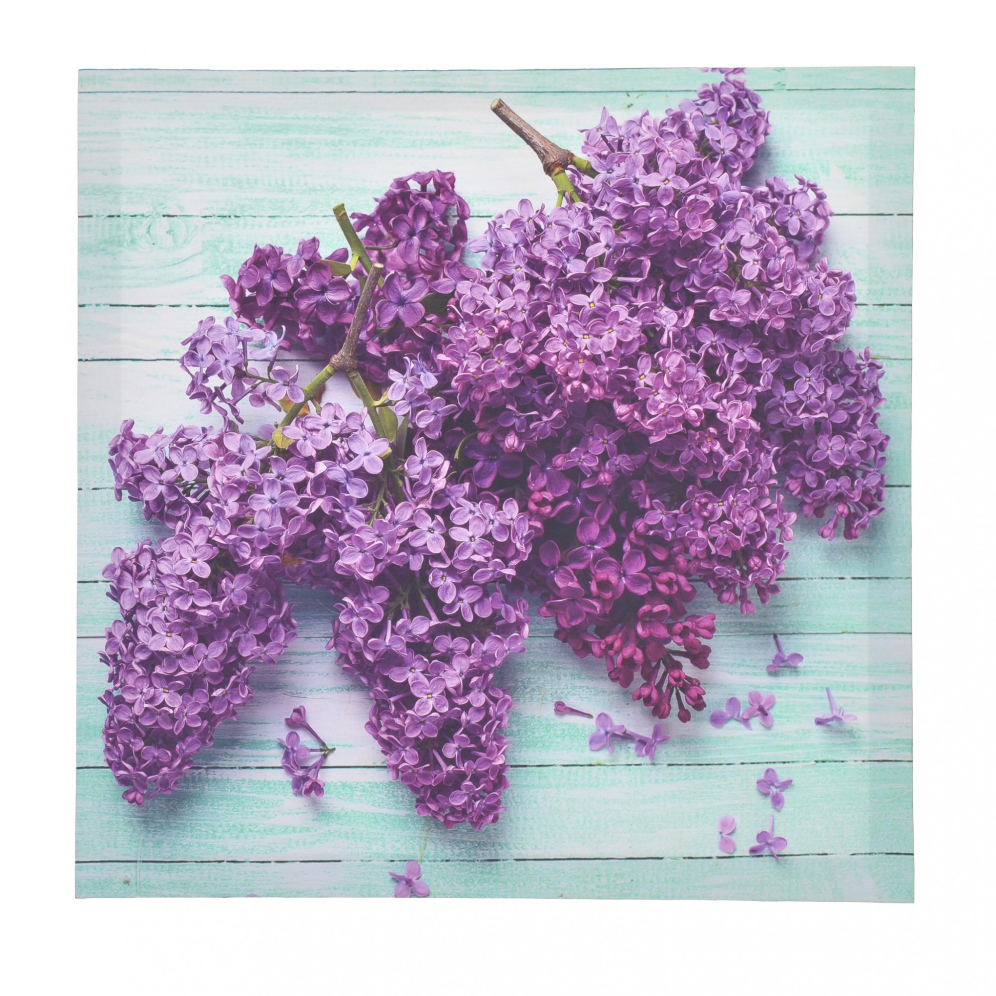 3890773.0123 принт на подрамнике TO4ROOMS 