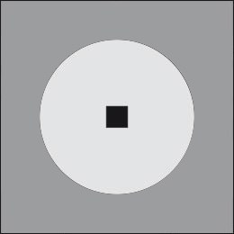 Disco 300 Ghidini Disco .05 Темно-Cерый (Матовый) - Вид №2