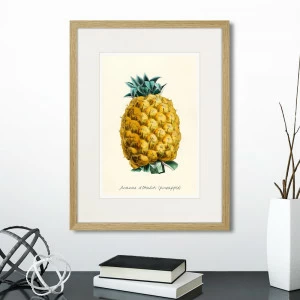 Картина в раме 32х42 см Botany illustration №17, 1836г. КАРТИНЫ В КВАРТИРУ  264490 Желтый;зеленый;разноцветный