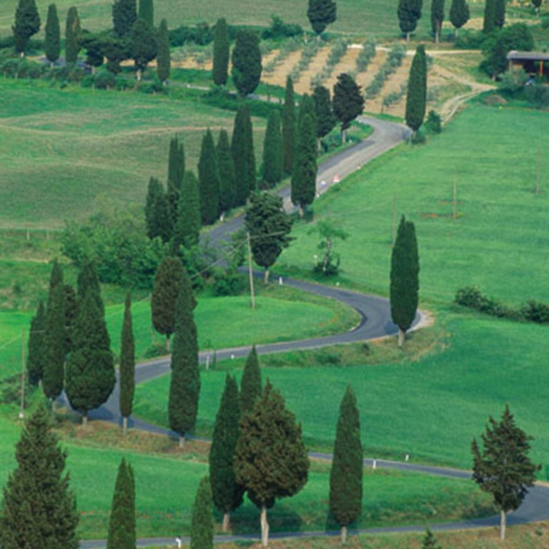 1107/CX38 Картина 1107 Adriani e Rossi 