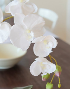 9805 700 a3 Орхидея Phalaenopsis, шелк, 60см, в горшке, белая H-andreas