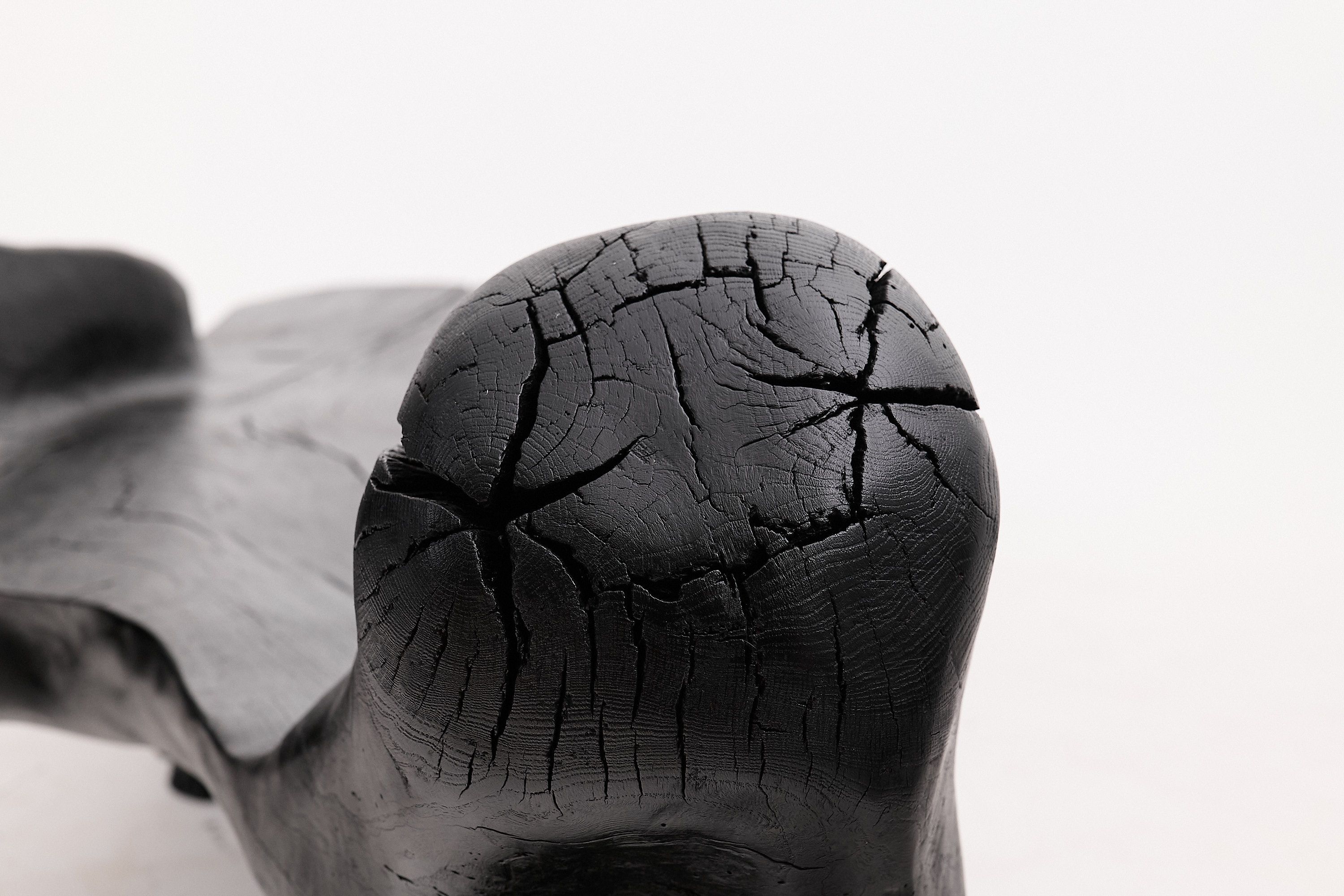 Дубовая скамья Logniture XXL SCULPTURAL BENCH ARCH-00033343 - Вид №15