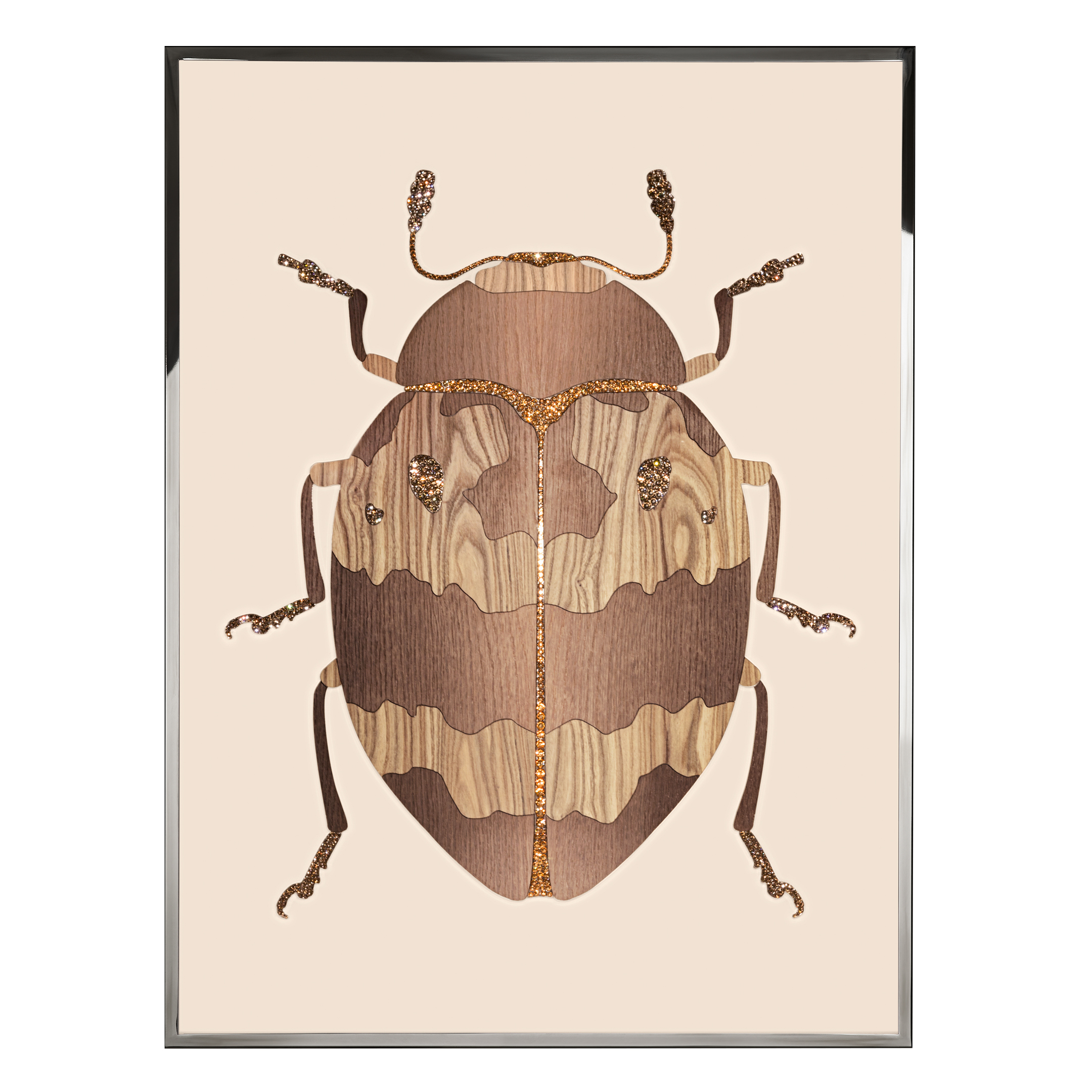 Beetle D Произведение искусства из ископаемого дерева Visionnaire  - Вид №1
