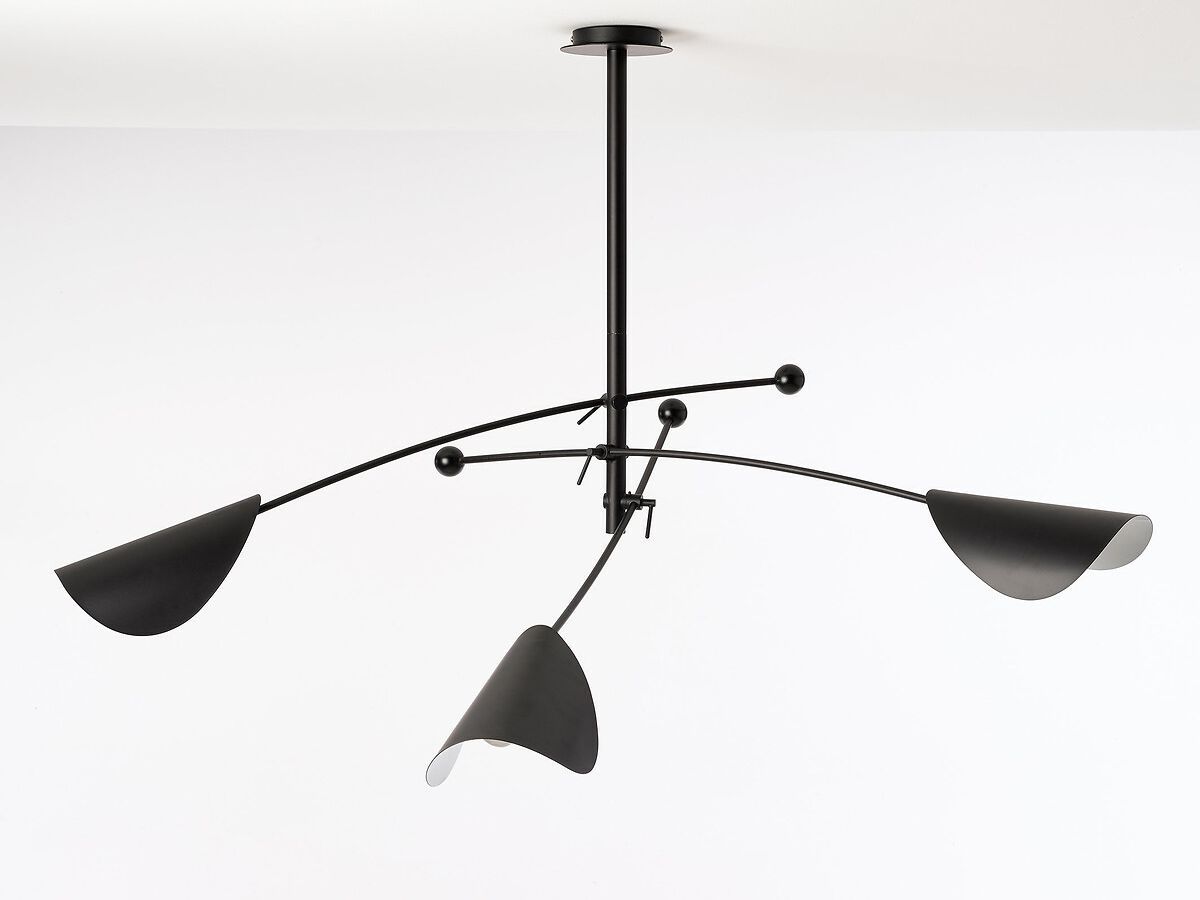 Регулируемая металлическая потолочная лампа AMPM Funambule ARCH-00049571