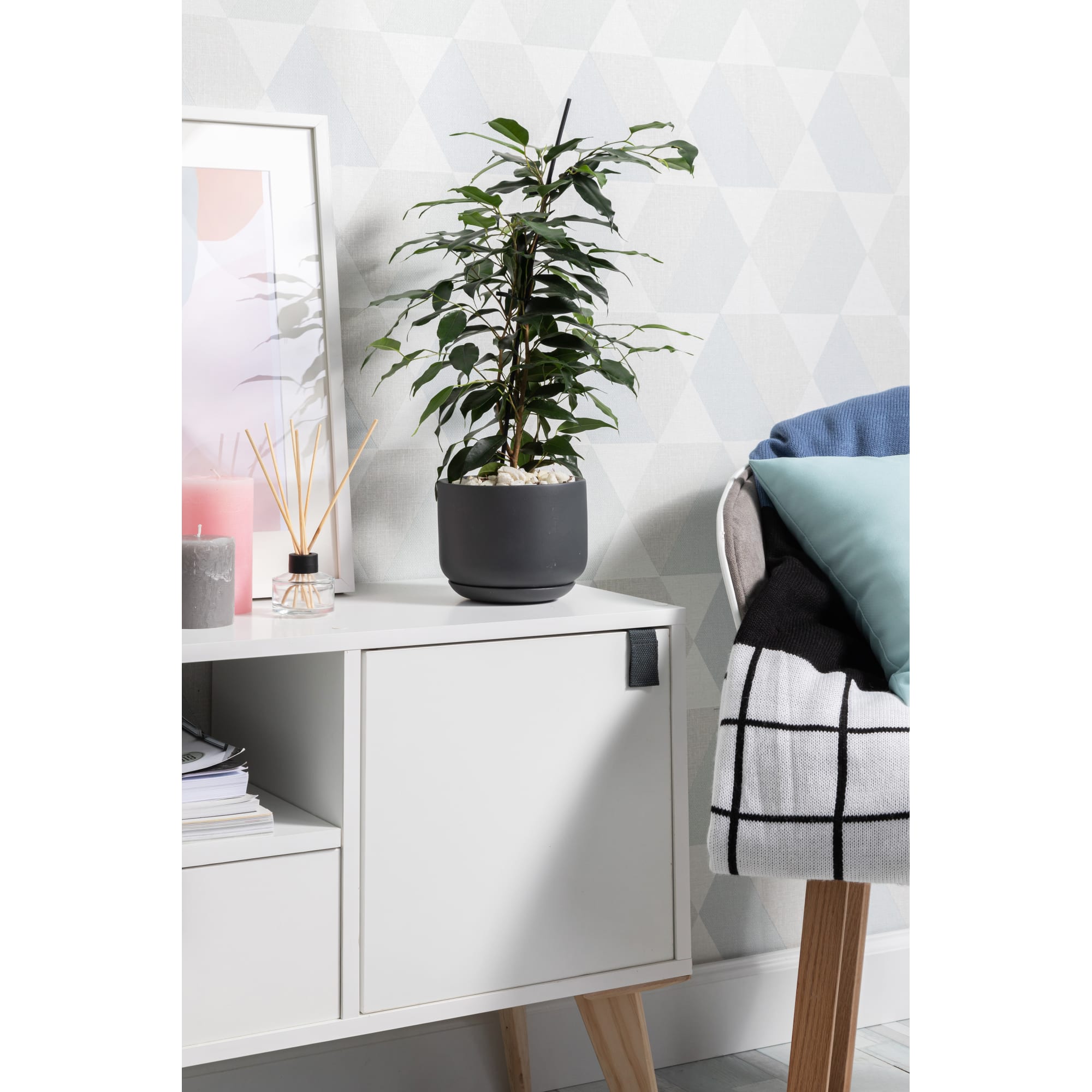 81932586 Горшок цветочный ø15 h15 см v1.2 л керамика тёмно-серый Орфей Santreyd - Вид №3