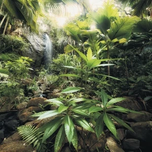 SH087-VD2-Spirit Фотообои Komar Stefan Hefele 2.5х2 м