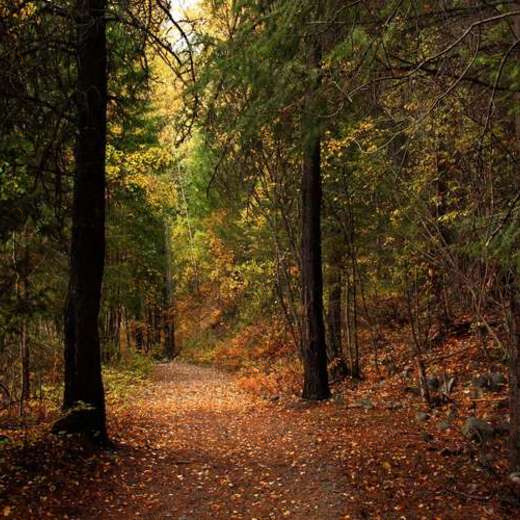 WP02212 Фотообои Verol Фотообои decoline 1х1 м