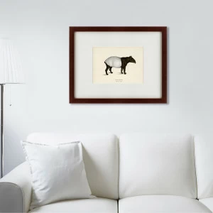Картина тапир: Malayan Tapir, 1872 КАРТИНЫ В КВАРТИРУ  191745 Белый;коричневый