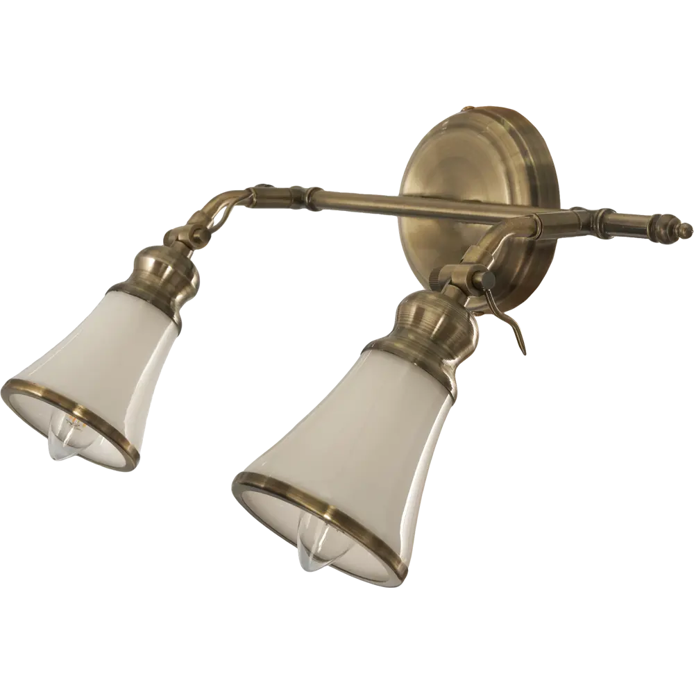 Спот поворотный Veno 2xE14x40 Вт металл цвет бронза Arte Lamp STLM-2114316
