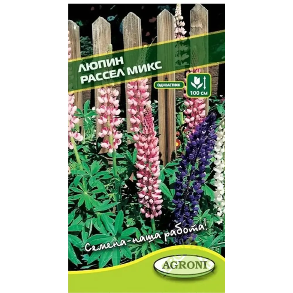Семена цветов Люпин Рассел микс смесь окрасок Agroni STLM-2021831