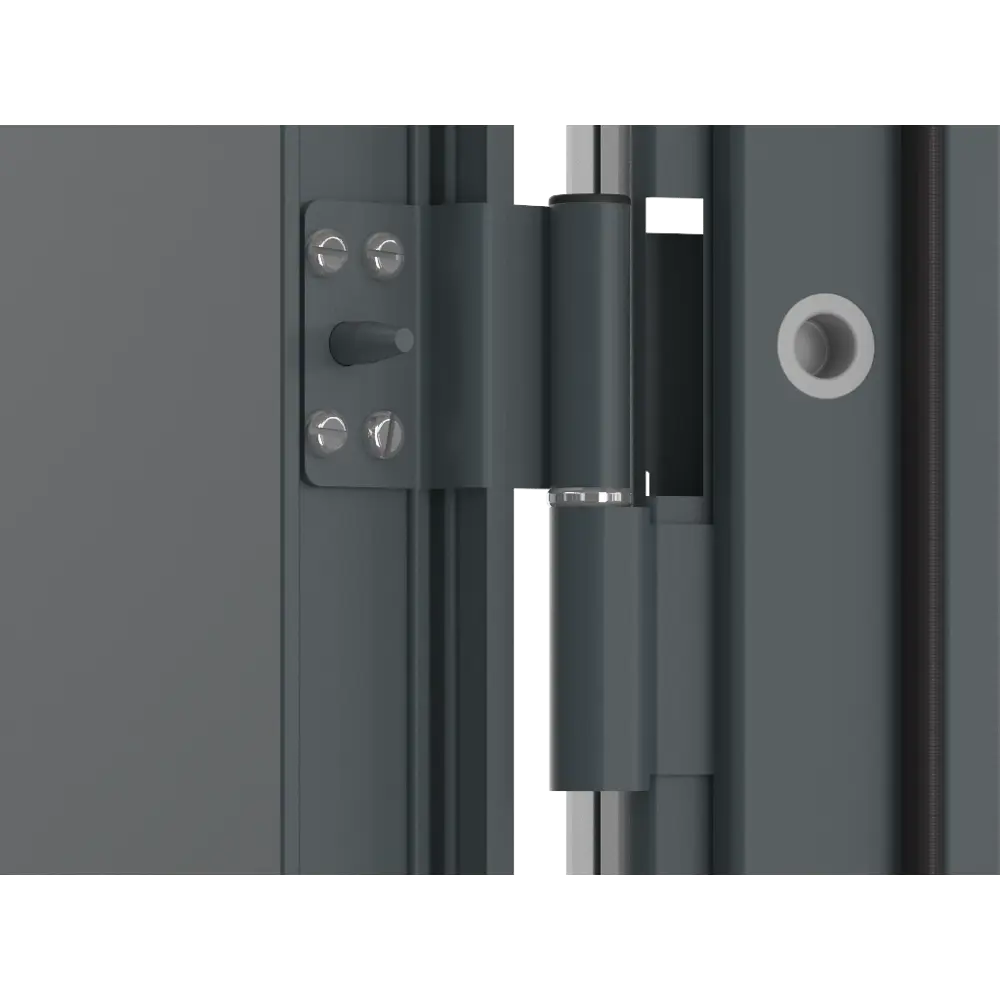 DOORHAN ЭКО - металлическая входная дверь для квартиры и дома 84226052 STLM-1463261 - Вид №2