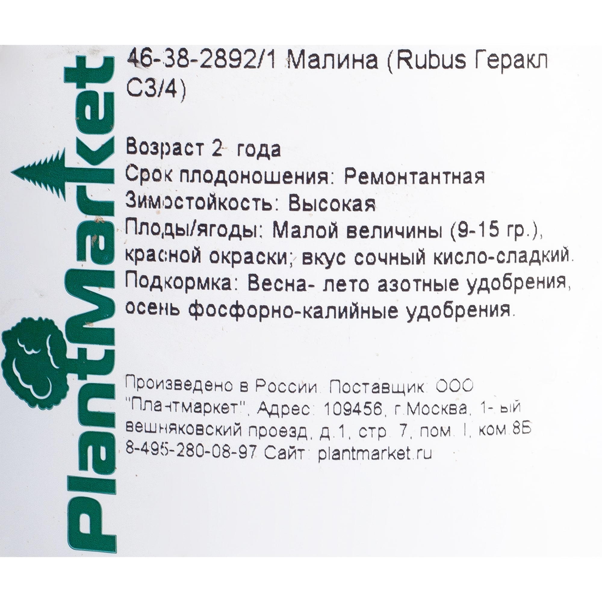 18469755 Малина ремонтантная «Геракл», С3-С4 Santreyd  - Вид №1